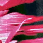 palm tree view autumn pink