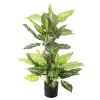 Artificial Dieffenbachia Floor Plant - 40-Inch Potted Faux Greenery for Home or Office Decoration Natural Looking Polyester Leaves by Pure Garden - 2 of 4