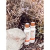 Raw Sugar Conditioner Mango Butter + Agave + Carrot Oil - 18 fl oz - image 3 of 4
