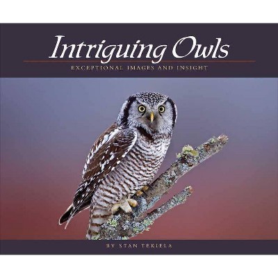 Intriguing Owls - (Wildlife Appreciation) by  Stan Tekiela (Paperback)