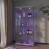 Display Cabinet with LED lights, Tempered Glass Antique Storage Cabinet Bookshelf for Living Room and Bedrooms -ModernLuxe - 2 of 4