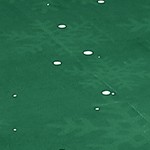 green-8*10ft