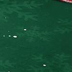 green-5*7ft