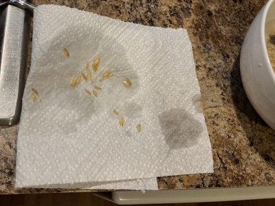 Guest review image 1 of 1, zoom in