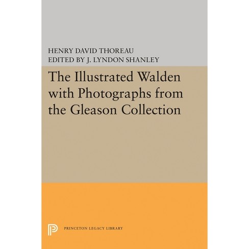 The Illustrated Walden - By Henry David Thoreau (paperback) : Target