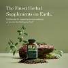Gaia Herbs Olive Leaf - Immune System Supplement with Olive Leaf Extract & Oleuropein* - 120 Vegan Liquid Phyto-Caps (60-Day Supply) - 3 of 4
