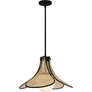 Quoizel Lighting 1 - Light Pendant in  Matte Black - 1 of 1