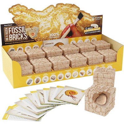 Dan&Darci Dig a Dozen Fossil Bricks Kit- Educational Gift for Kids,