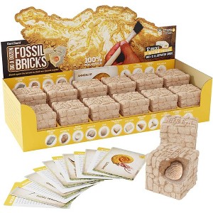 Dan&Darci Dig a Dozen Fossil Bricks Kit- Educational Gift for Kids, - 1 of 4