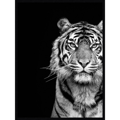 Black and White Tiger Silhouette - paint by number black and white