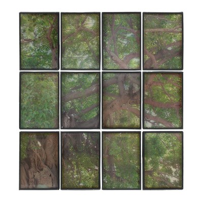 12"x8" Set of 12 Tree Branch Framed Collage Wall Arts Green/Brown - A&B Home: Transitional Style, Vertical Orientation, Includes Hardware