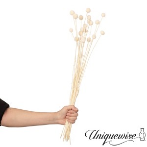 Uniquewise Preserved Real Floral Stems Chic Vase Fillers & Accents for Bouquets Centerpieces - 1 of 4