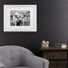 Trademark Fine Art - Nathan Larson Highland Cow Staring Contest Crop Matted Framed Art - 2 of 4