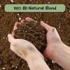 Soil Sunrise Fiddle Leaf Fig Potting Mix, Soil Amendment for Potted Fig Trees - 4 of 4