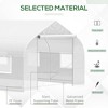 NicBex 20'x10'x7' Walk-in Tunnel Greenhouse with Roll-up Windows and Zippered Door, PE Cover for Growing Flowers, Herbs, Vegetables, Saplings, White - 3 of 4