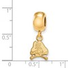 Black Bow Jewelry 14k Yellow Gold Plated Sterling Silver East Carolina Pirates NCAA Bead Charm - 2 of 3