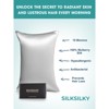 SilkSilky 19Momme 100% Mulberry Silk Pillowcase - Envelope Closure - 2 of 4