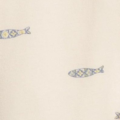 fish / marino + rain