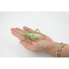 Collectible Wildlife Gifts | Grasshopper, Locusts, Museum Quality, Hand Painted, Rubber, Insect, Realistic Toy Figure, Model, Gift,   4"   CH485 BB154 - 3 of 4