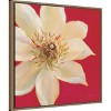Amanti Art Contemporary Clematis by Danhui Nai Framed Canvas Wall Art - 3 of 4