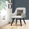 Decorative Throw Pillow_5 by Trademark Fine Art - 3 of 4