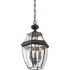 Quoizel Lighting Newbury 3 - Light Pendant in  Medici Bronze - 3 of 4