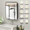Lighted Medicine Cabinet with Mirror Wall Mounted Bathroom Mirror with Storage - 3 of 4