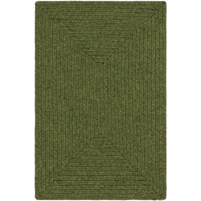 Braided BRD315 Hand Woven Area Rug  - Safavieh