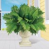 Collections Etc Artificial Parlour Palm Bushes - Set of 2 - 2 of 3