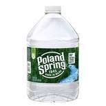 Poland Spring Brand 100% Natural Spring Water - 101.4 fl oz Jug
