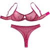 Clotth Women’s Sexy Lingerie Set - Ultra-Soft Breathable Mesh, Push-Up Comfort for Daily Wear, Date Nights - 3 of 4