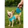 Parisian Pet 'Crystal Retractable Leash Blue' for Dogs & Cats – Durable Retractable Pet Leash with Comfortable Grip - 3 of 4