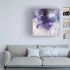 Trademark Fine Art -Silvia Vassileva 'Violet Rain' Canvas Art - 2 of 4