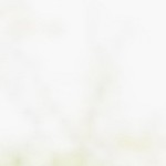 brown and white contrast