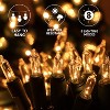 Joyfy 100 Count Clear Christmas String Lights, Warm White Fairy Light Xmas Tree Lights with Green Wire Decoration for Holiday Party Decor - 3 of 4