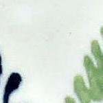 woodland fern