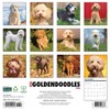 Willow Creek Press 12"x12" 2026 Goldendoodles Wall Calendar - 2 of 4