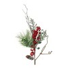 Northlight 32" Green and Red Berries and Pinecones Frosted Artificial Christmas Spray - 3 of 3
