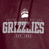 NCAA Montana Grizzlies Men's Hoodie - 3 of 3