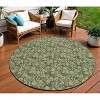 Olive Green Artichoke Green And Ivory Floral Washable Indoor Outdoor Area Rug - 2 of 4