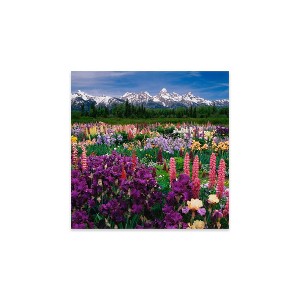 Iris and Lupine Field Grand Teton National Park Print on Acrylic Glass by Adam Jones - iCanvas - 1 of 4