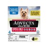 Advecta hotsell for dogs