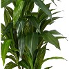 coucheta Artificial Tree, Artificial Plants with Planter, Large Artificial Dracaena Plant Indoor Decor Artificial Trees for Office Home Porch - 4 of 4