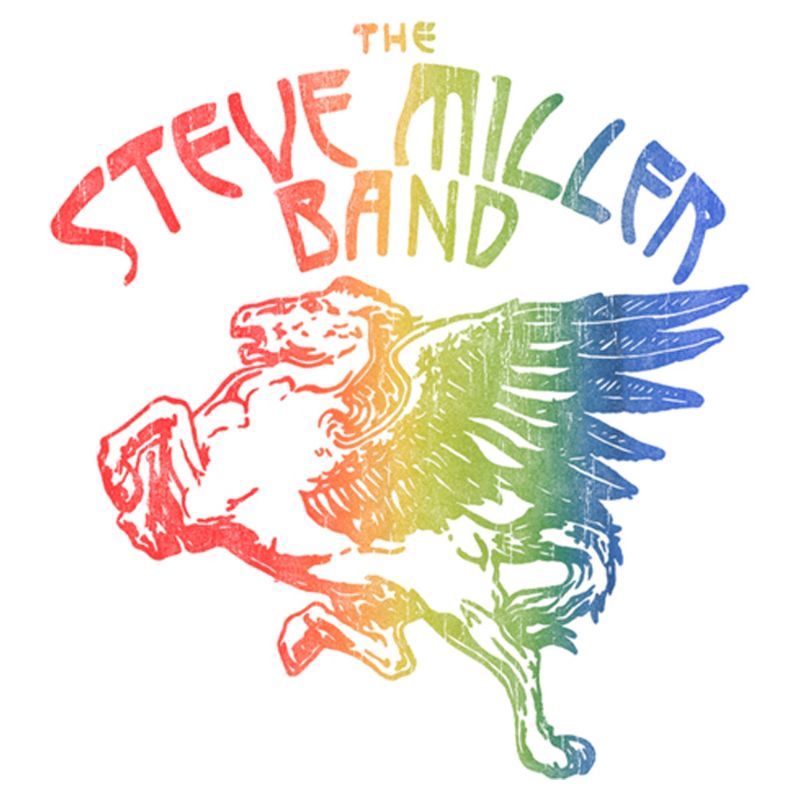 Boy's Steve Miller Band Rainbow Pegasus Logo T-Shirt, 2 of 5