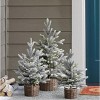 TWC Company 30-Inch 3 Piece Flocked Trees with Warm White LED Lights - 2 of 3