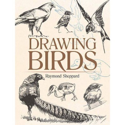 Drawing Birds - (Dover Art Instruction) by  Raymond Sheppard (Paperback)