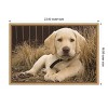 Amanti Art Labrador Retriever puppy by Rick A Brown Danita Delimont Canvas Wall Art Print Framed 23 x 16-in. - 4 of 4