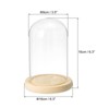 Unique Bargains Wooden Base Plants Home Decor Glass Bell Jar Display Case - 2 of 4