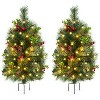 Yaheetech 2Ft/3Ft Pre-Lit Outdoor Pathway Christmas Trees, Set of 2 - 2 of 4
