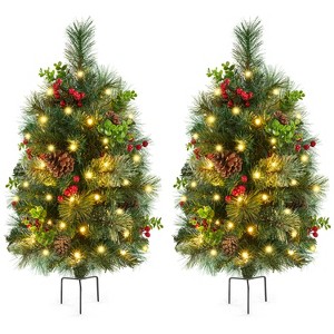 Yaheetech 2Ft/3Ft Pre-Lit Outdoor Pathway Christmas Trees, Set of 2 - 1 of 4